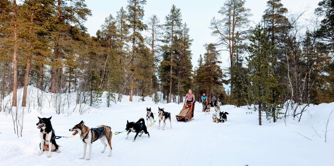 Trasti og Trine